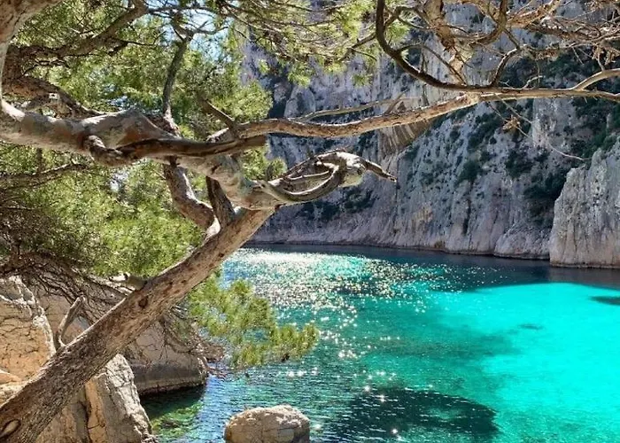 Apartment Appartement Villa Cassis